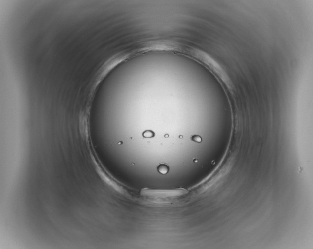 X0000111891433200907301148