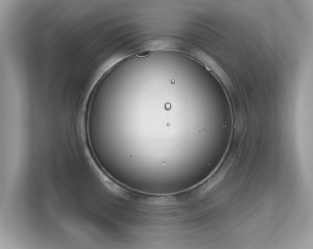 X0000111891434200907301148