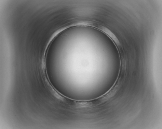 X0000111891436200907301148