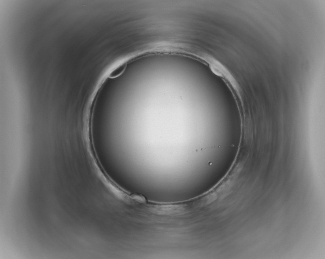 X0000111891437200907301148