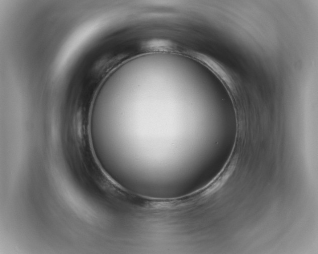 X0000111891438200907301148