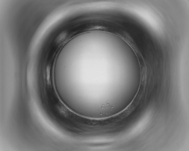 X0000111891439200907301148