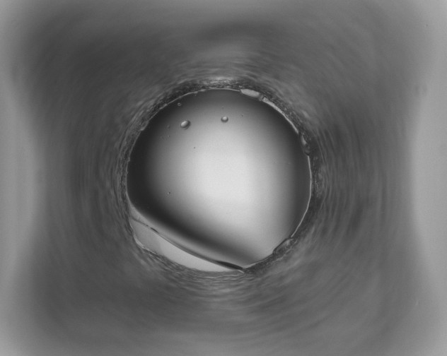 X0000111891441200907301148