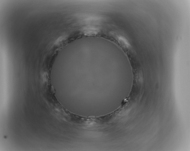 X0000111891445200907301147