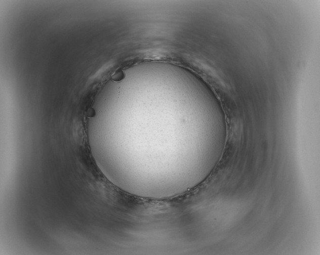 X0000111891446200907301147