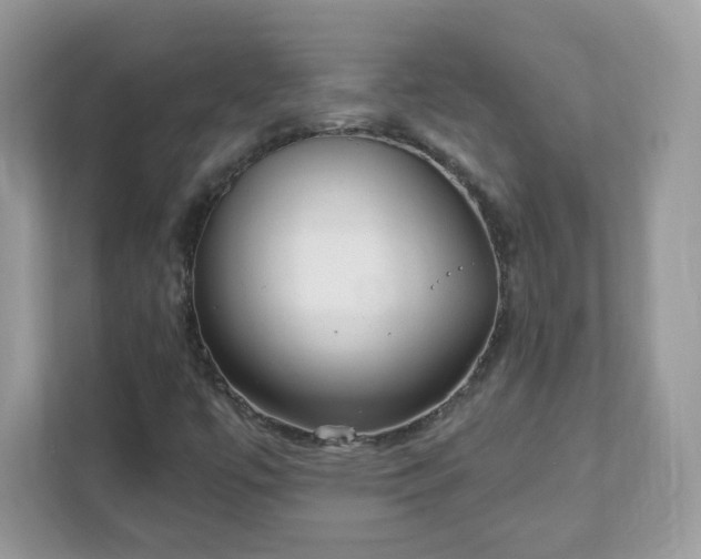 X0000111891447200907301147