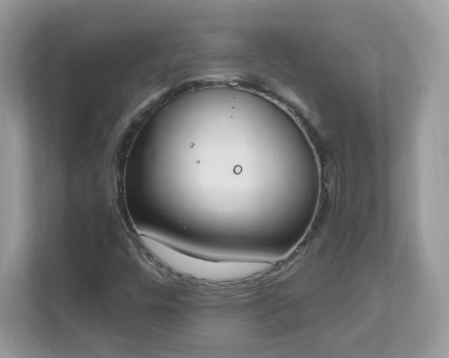 X0000111891448200907301147