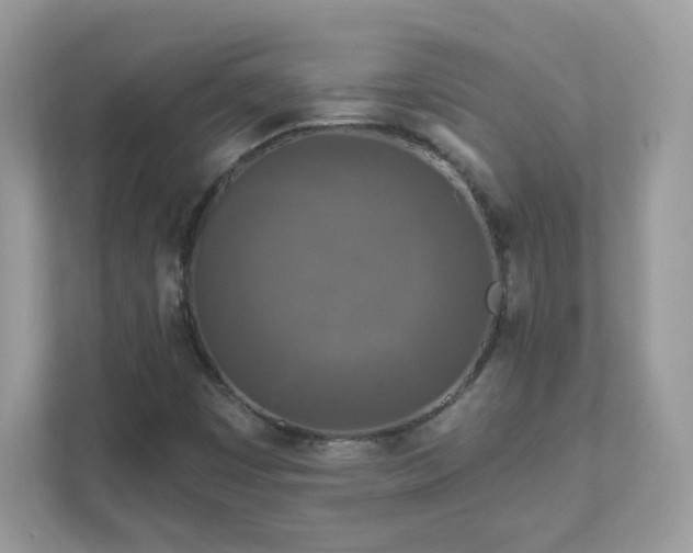 X0000111891449200907301147