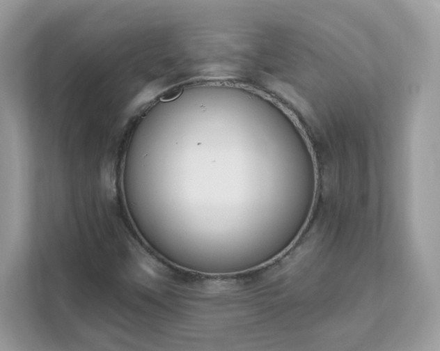 X0000111891451200907301147