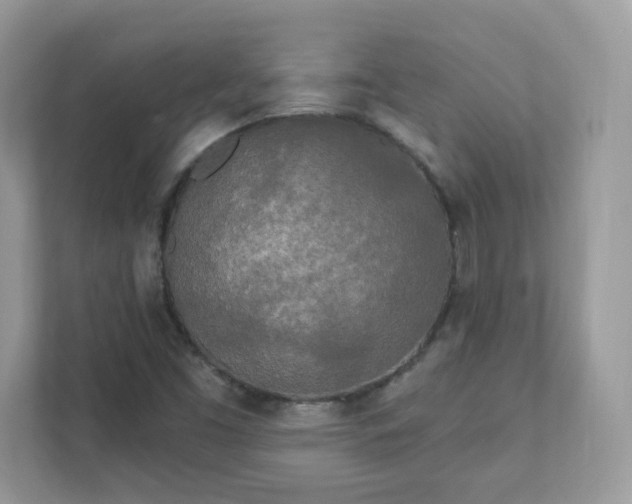 X0000111891453200907301147