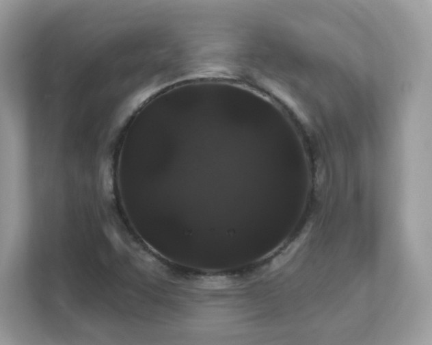 X0000111891455200907301147