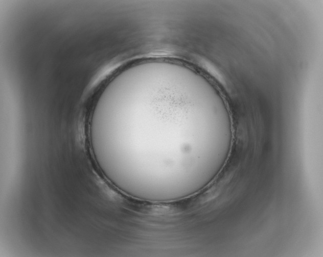 X0000111891456200907301147