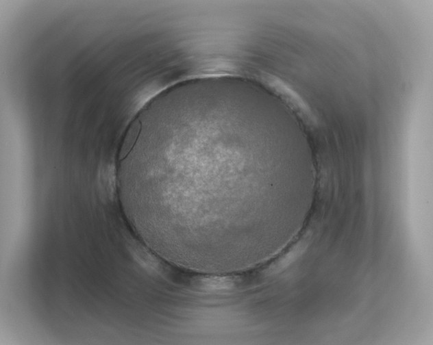 X0000111891457200907301147