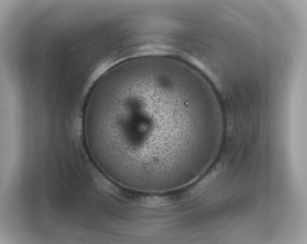 X0000111891459200907301147