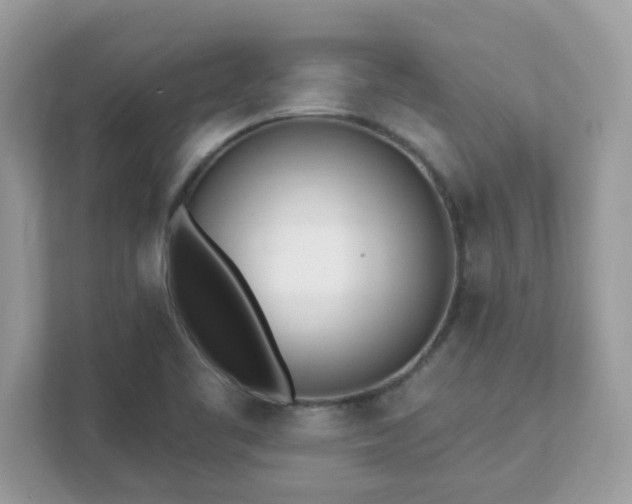 X0000111891461200907301147