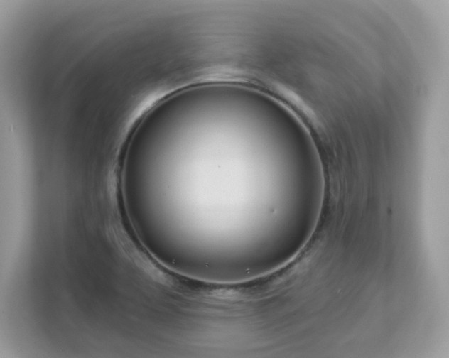 X0000111891463200907301147