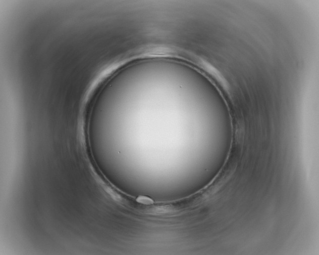 X0000111891464200907301147