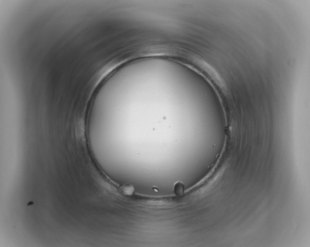 X0000111891465200907301147