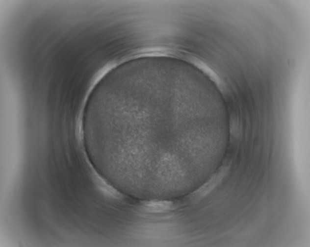 X0000111891466200907301147