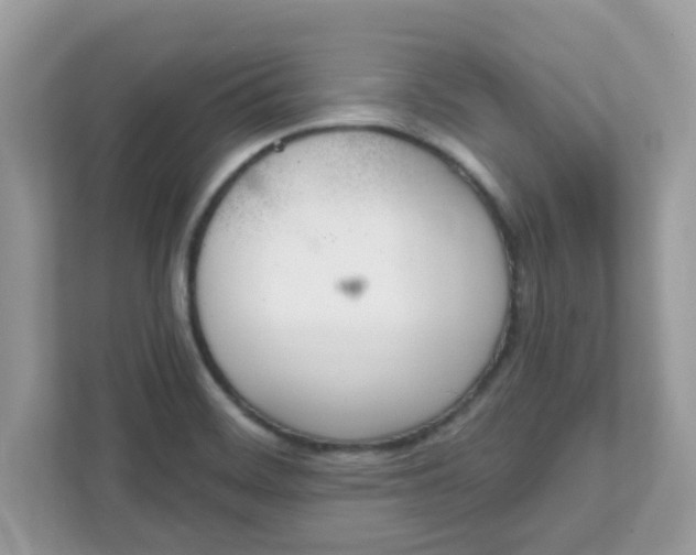 X0000111891468200907301147