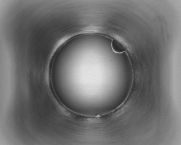 X0000111891469200907301147