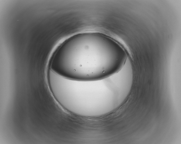 X0000111891472200907301147