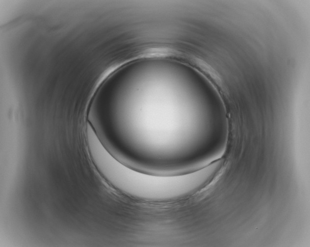 X0000111891473200907301147