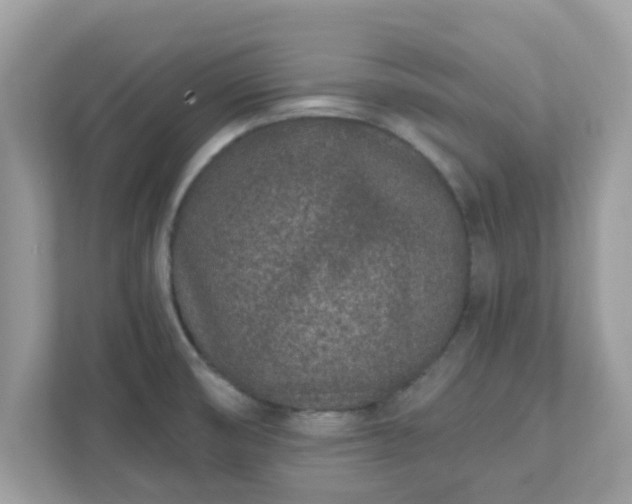 X0000111891474200907301147