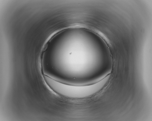 X0000111891476200907301147