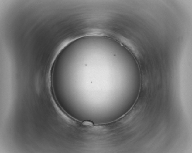 X0000111891479200907301147