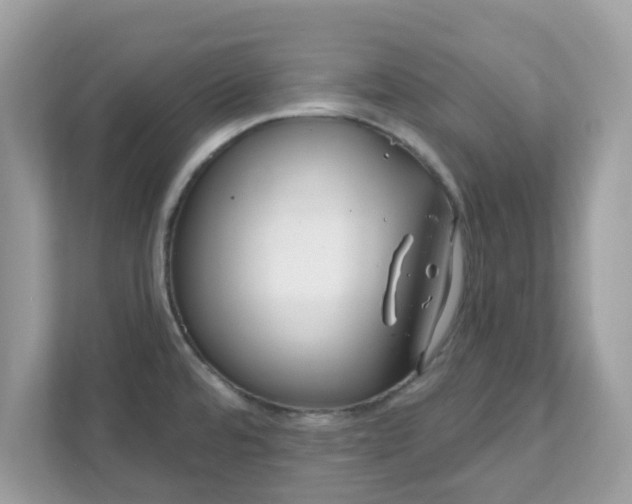 X0000111891480200907301147