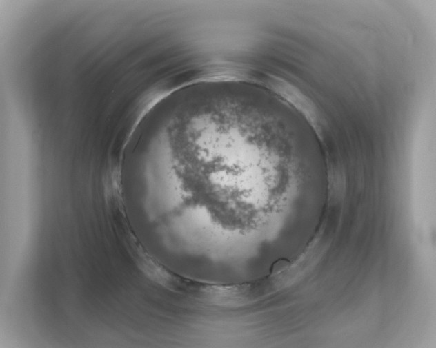 X0000111891481200907301147