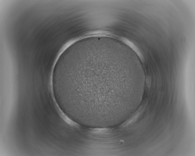 X0000111891482200907301147