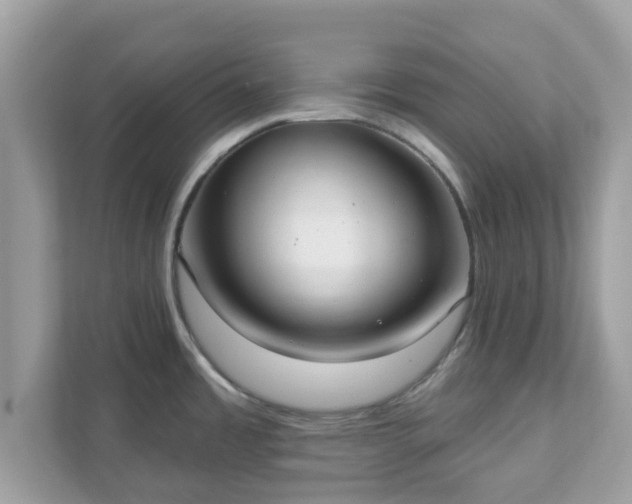 X0000111891485200907301147