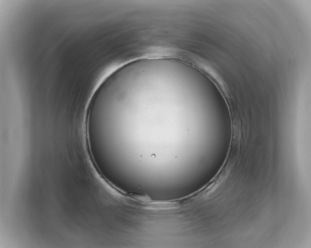 X0000111891487200907301147