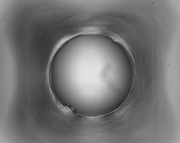 X0000111891488200907301147