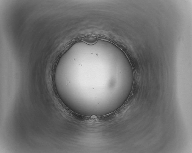 X0000111891489200907301146