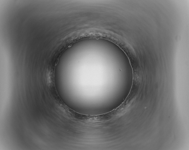 X0000111891490200907301146