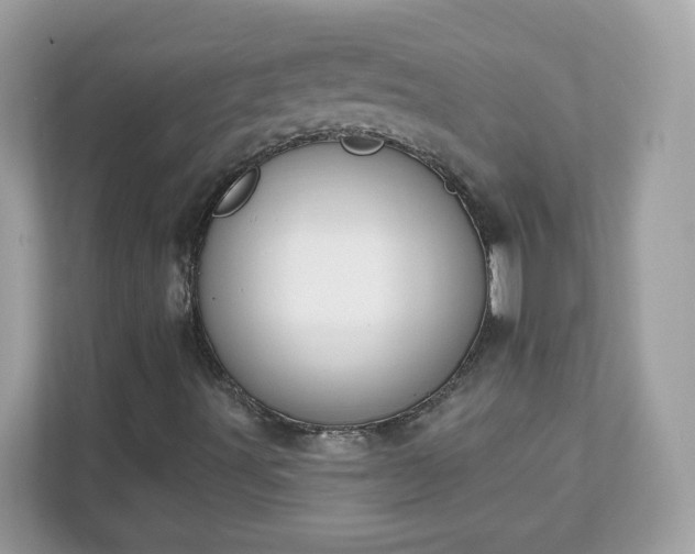 X0000111891491200907301146