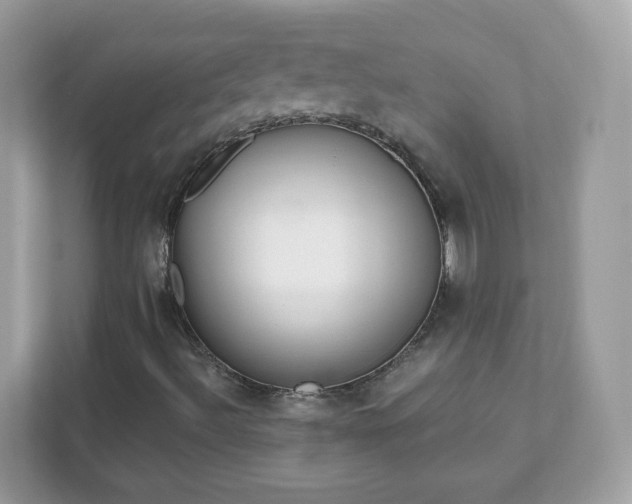 X0000111891492200907301146