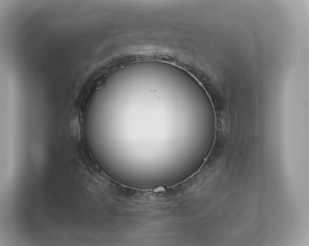 X0000111891493200907301146