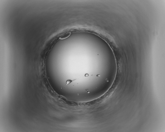 X0000111891494200907301146