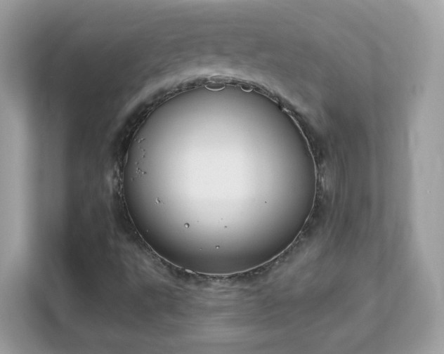 X0000111891495200907301146