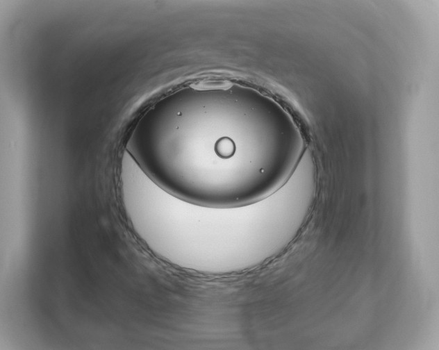 X0000111891496200907301146