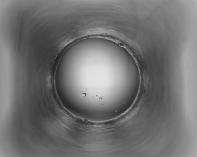 X0000111891497200907301146