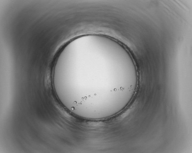 X0000111891498200907301146