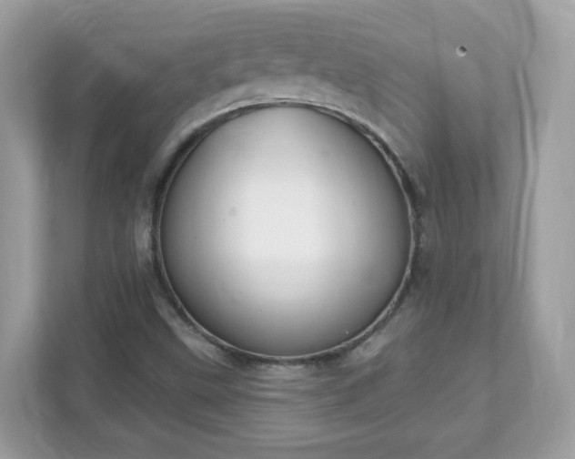 X0000111891499200907301146