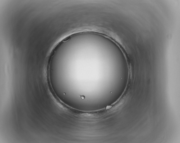 X0000111891500200907301146