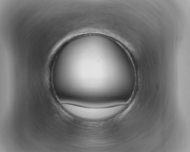 X0000111891502200907301146