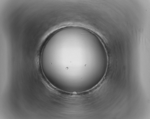 X0000111891503200907301146